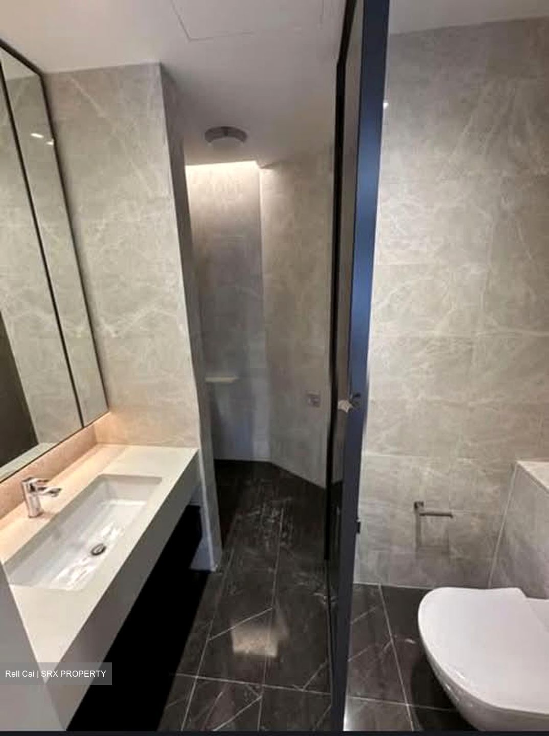 Amber Park (D15), Condominium #586784581